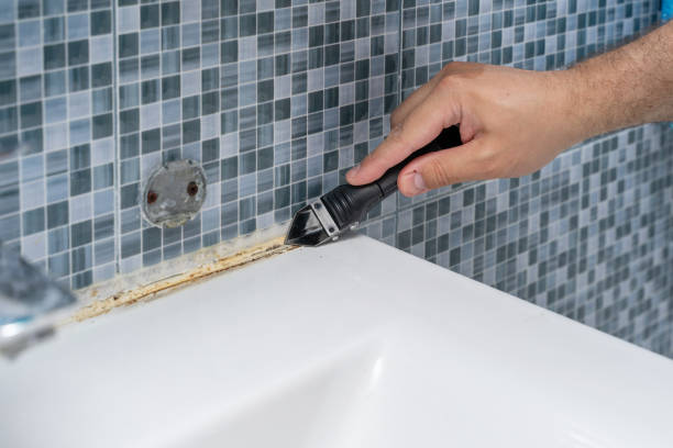 Best Basement Mold Remediation in Stephenville, TX