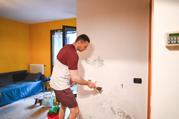 Best Residential Mold Remediation in Stephenville, TX